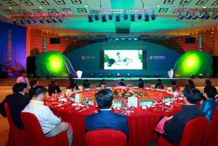 廣西專業婚慶策劃主持哪家好？非凡婚慶活動策劃全方位解析